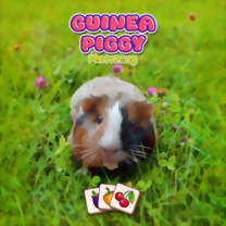 Gra Guinea Piggy Matching